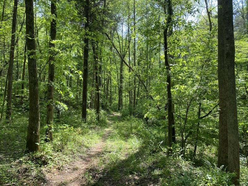 Munfordville, Hart County, KY Recreational Property, Hunting Property for sale Property ID