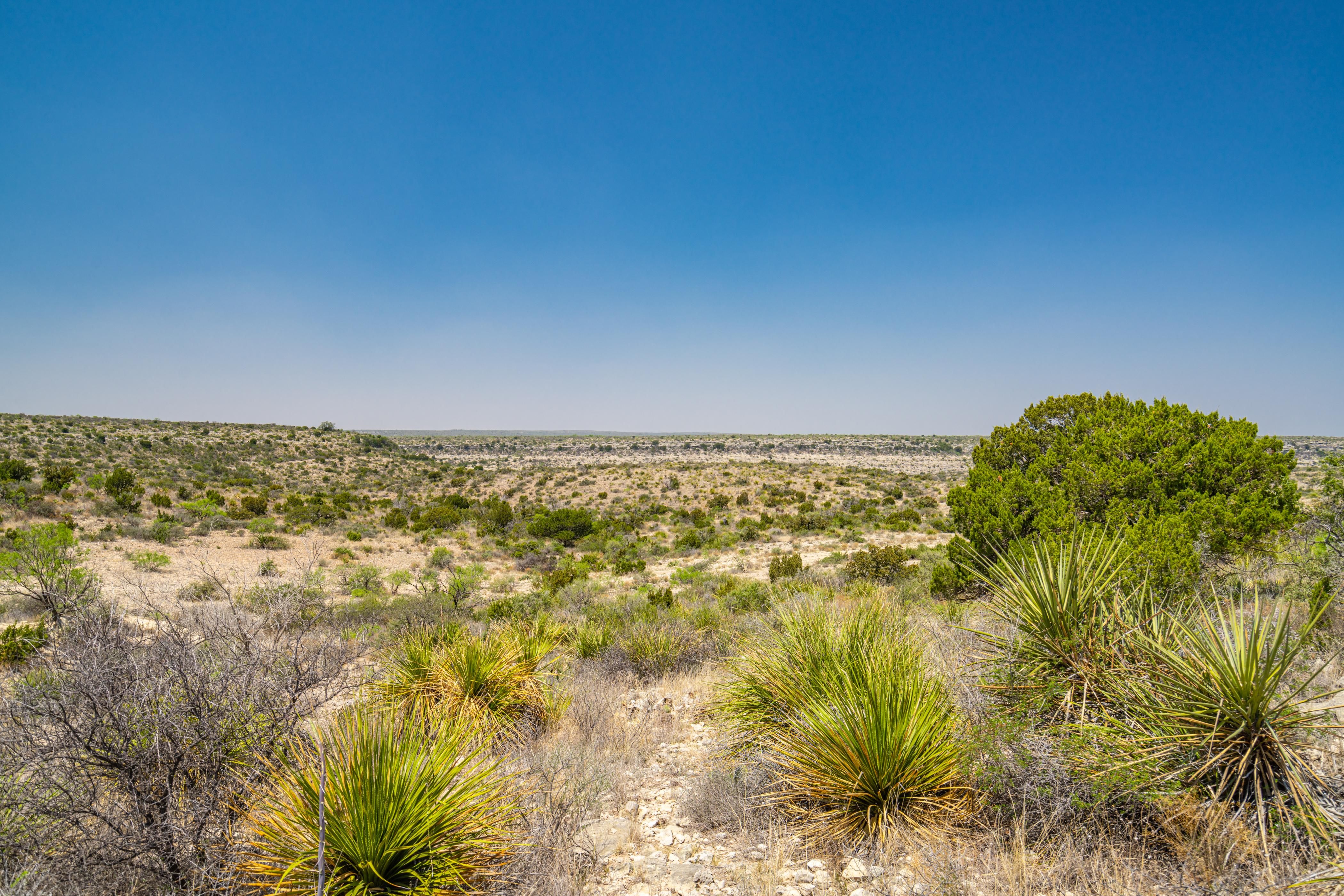 Chriesman Rd, Dryden, TX 78871 LandWatch