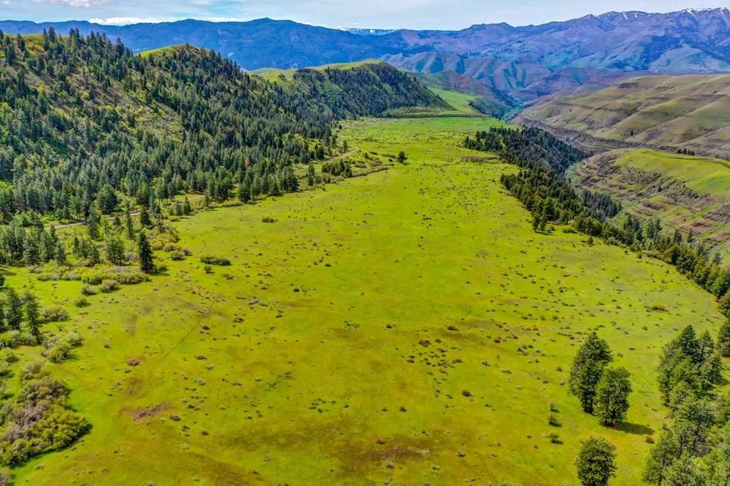 White Bird, Idaho County, ID Farms and Ranches for sale Property ID