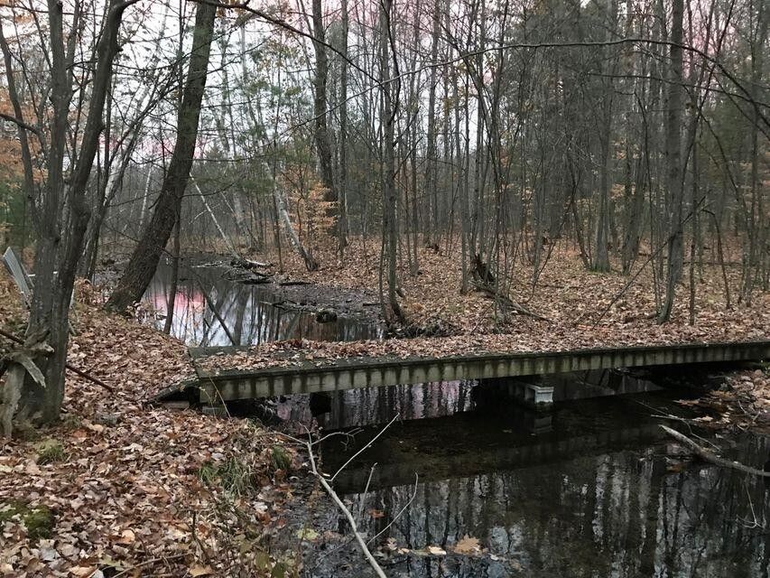 White Cloud, Newaygo County, MI Undeveloped Land, Lakefront Property