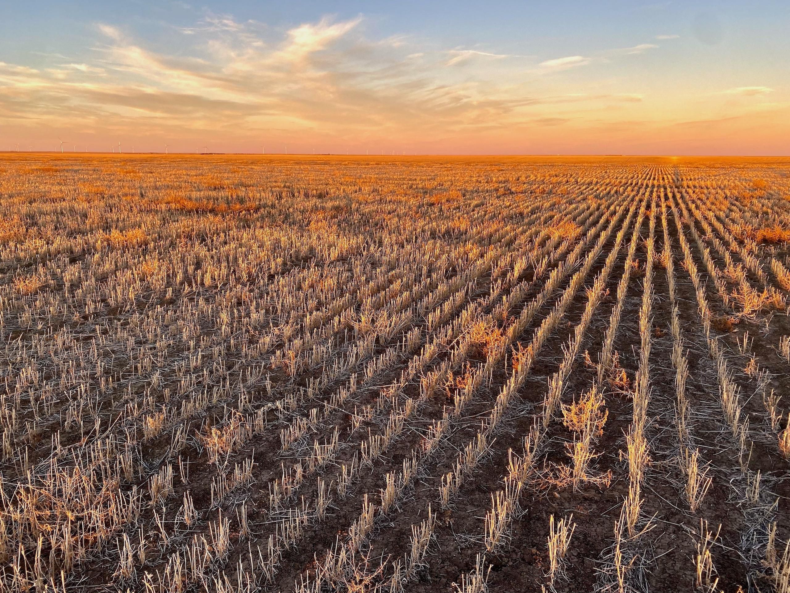 County Road 3E Lot Wp001, Genoa, CO 80818 LandWatch