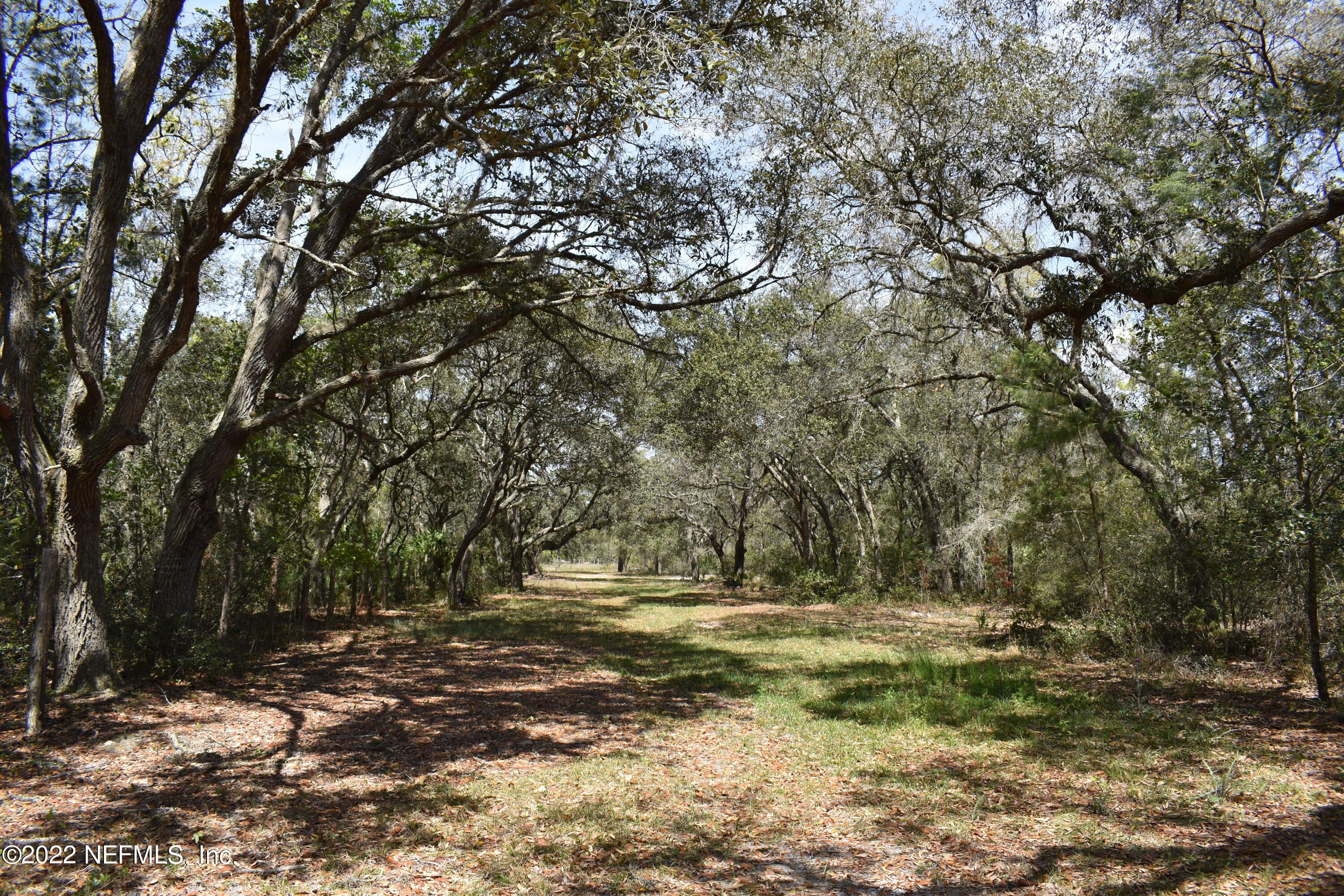 Interlachen, Putnam County, FL Undeveloped Land for sale Property ID