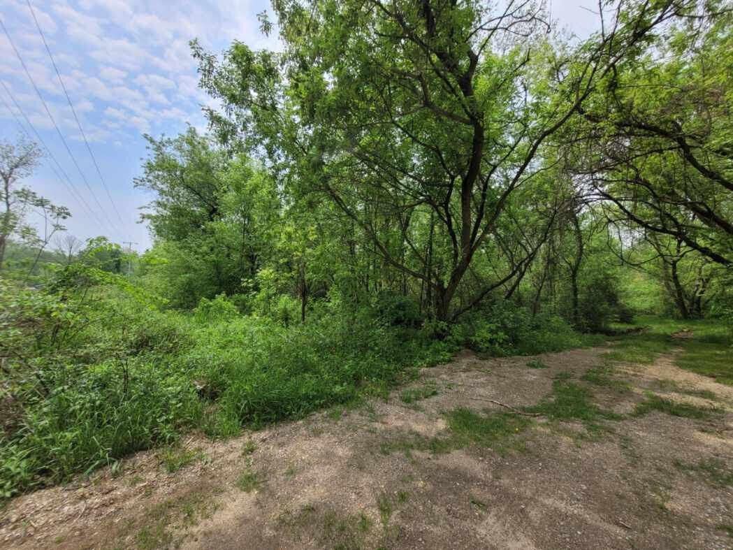 Gobles, Allegan County, MI Undeveloped Land, Lakefront Property