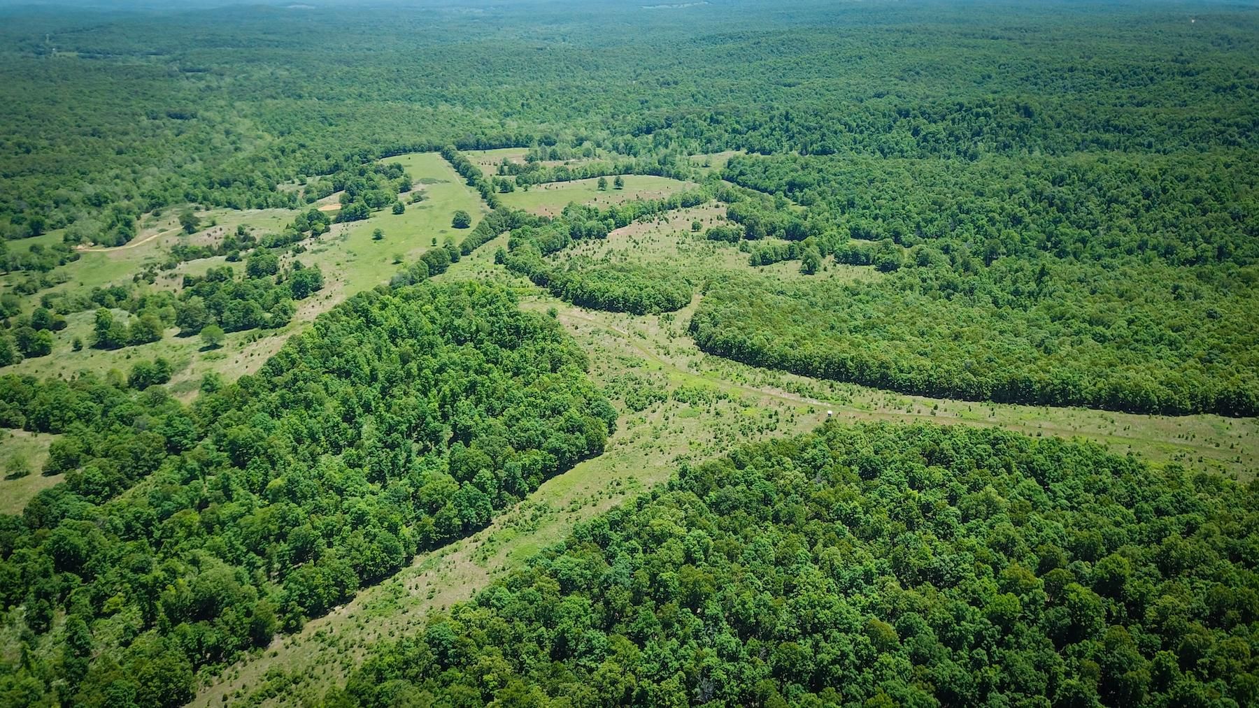 Nubbin Ridge Road, Ravenden, AR 72459 MLS 60218115 LandWatch