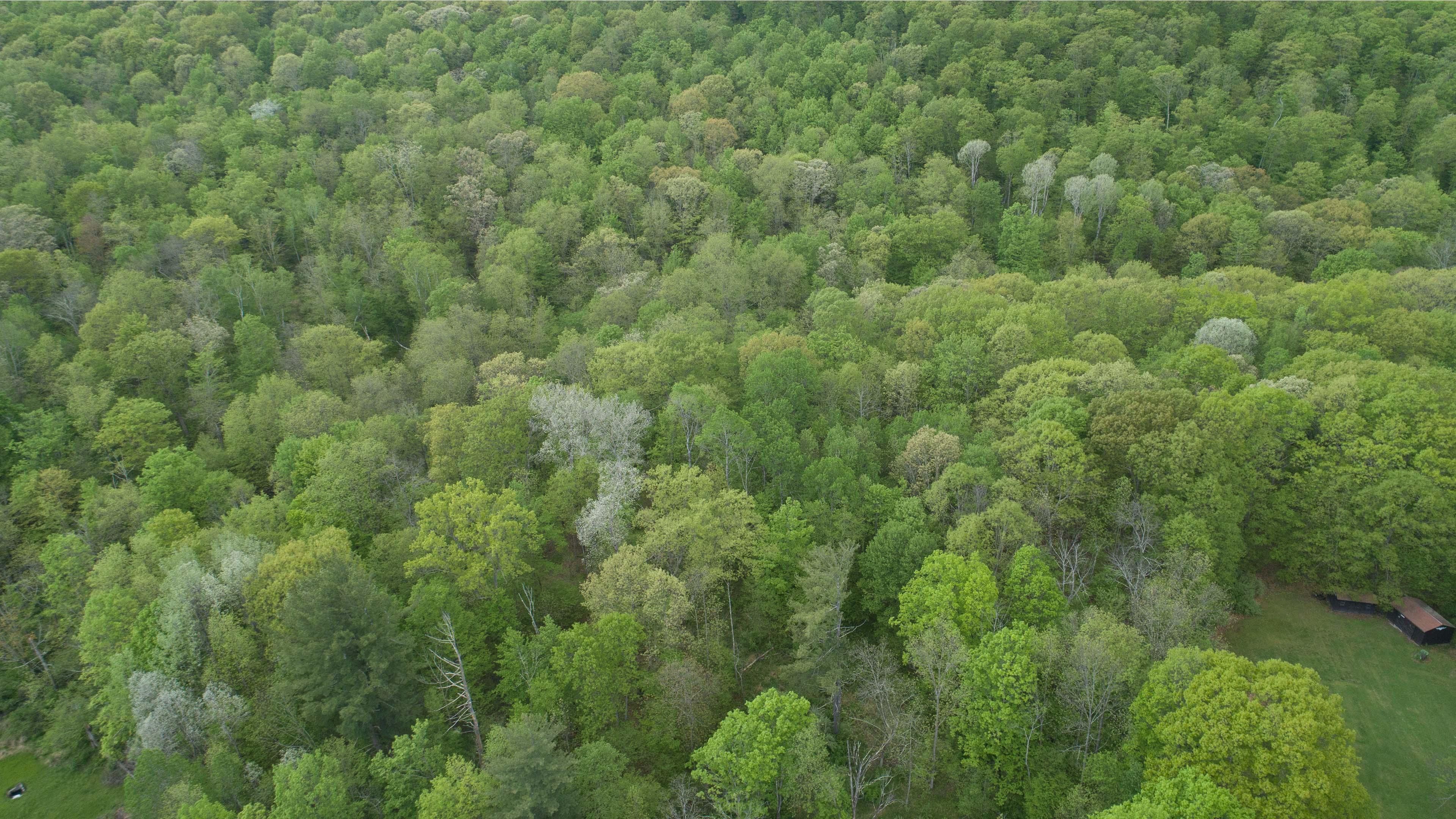 State Route 82, Ancram, NY 12567 MLS s1310088 LandWatch