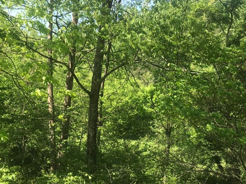 Mount Olivet, Robertson County, KY Undeveloped Land for sale Property