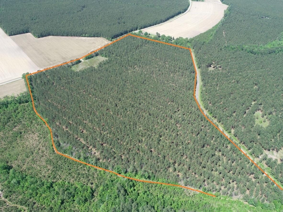 Windsor, Isle of Wight County, VA Timberland Property, Undeveloped Land