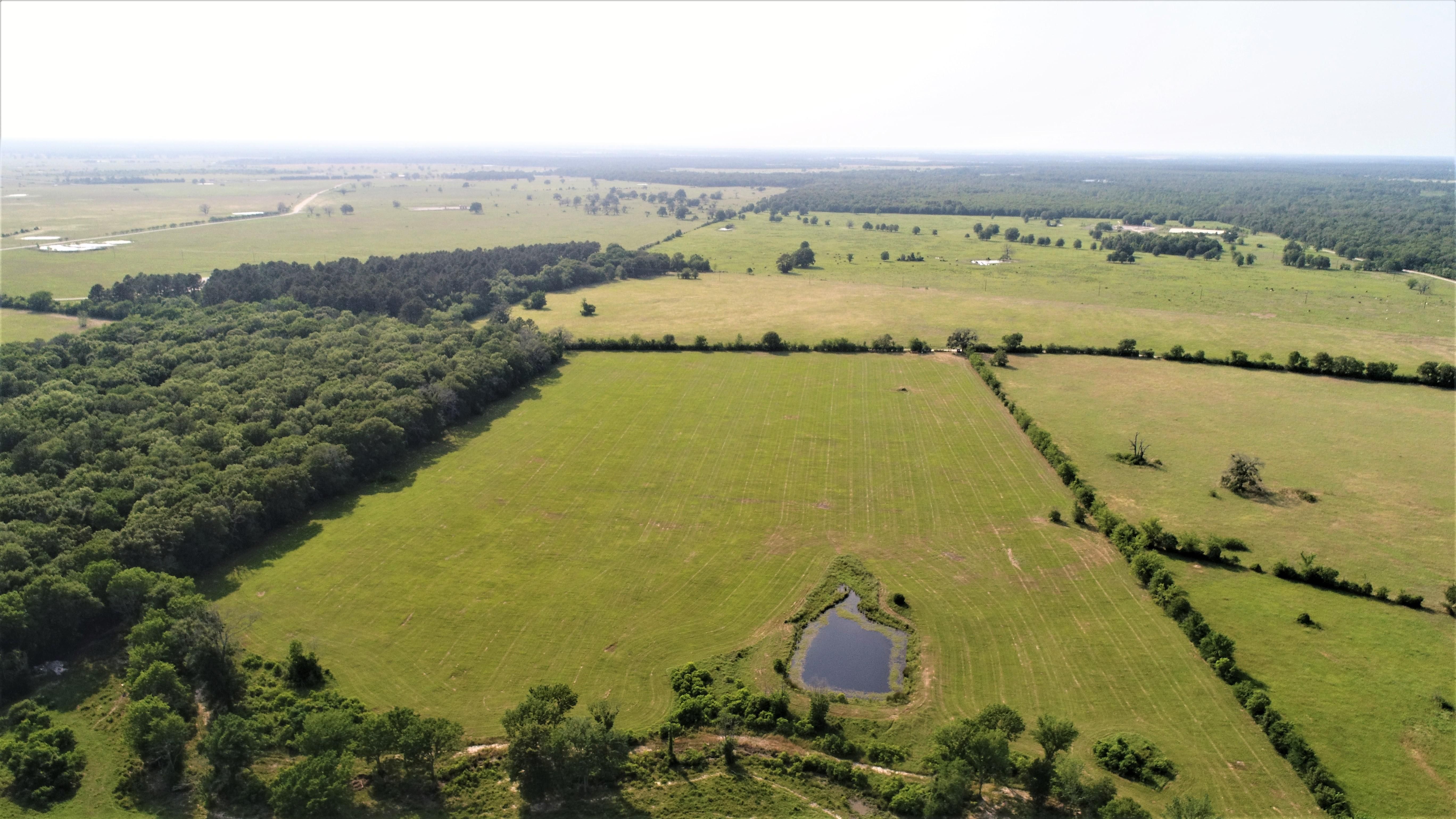 Lovelady, Houston County, TX Farms and Ranches, Horse Property for sale