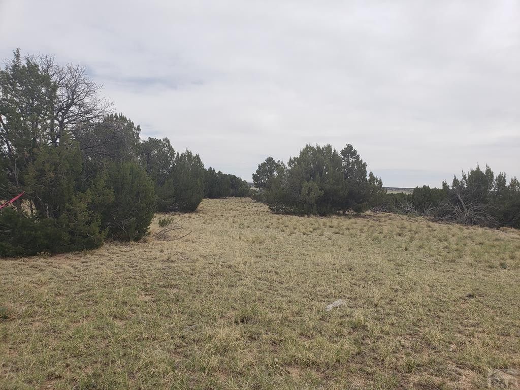 Model, Las Animas County, CO Farms and Ranches for sale Property ID 413644769 LandWatch
