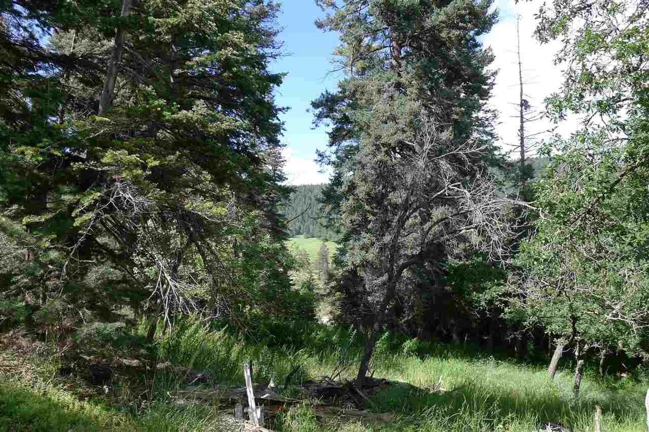 8 Elk Wallow, Cloudcroft, NM 88317 MLS 166423 LandWatch