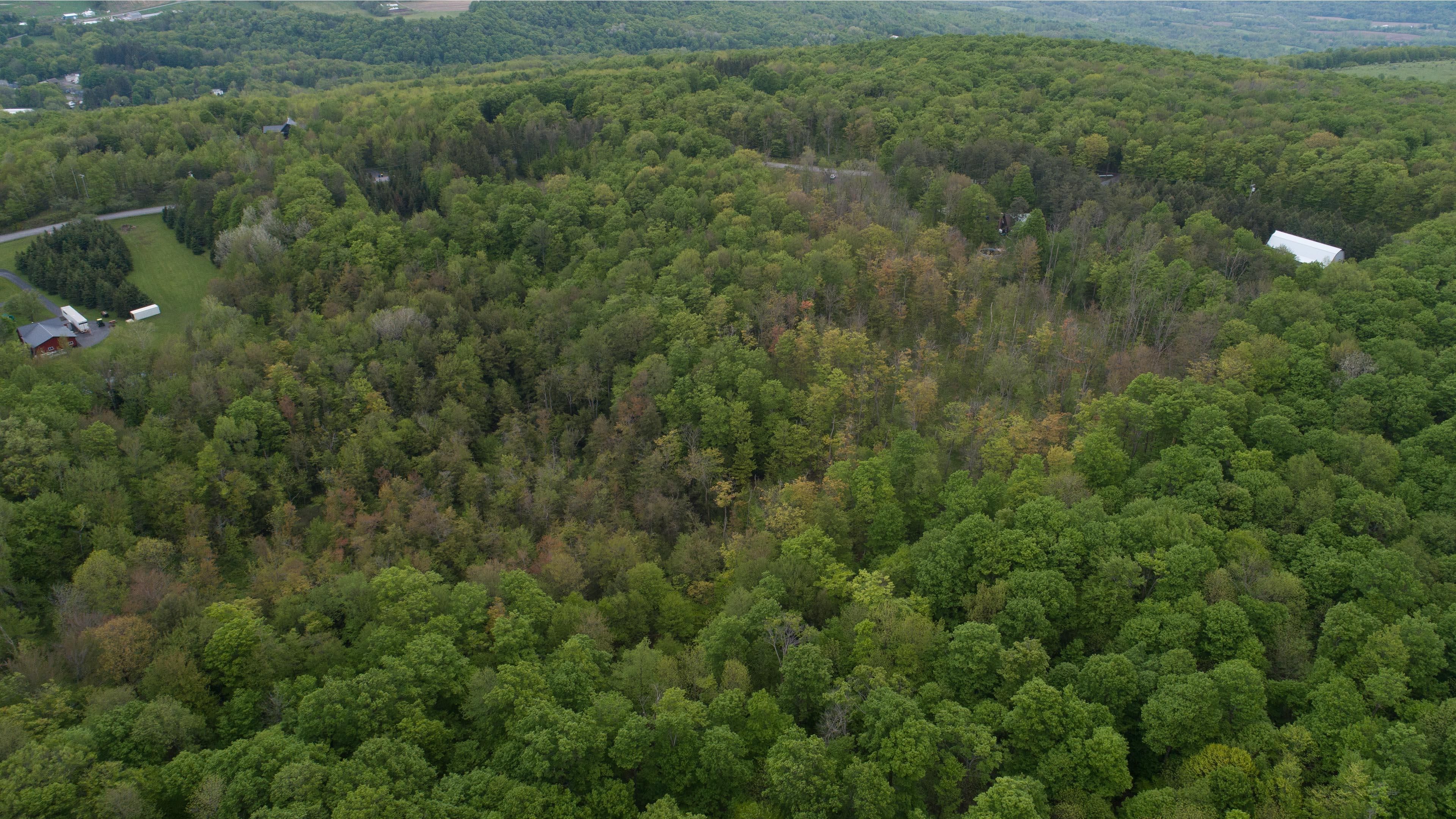 Tully, Onondaga County, NY Recreational Property, Undeveloped Land for sale Property ID