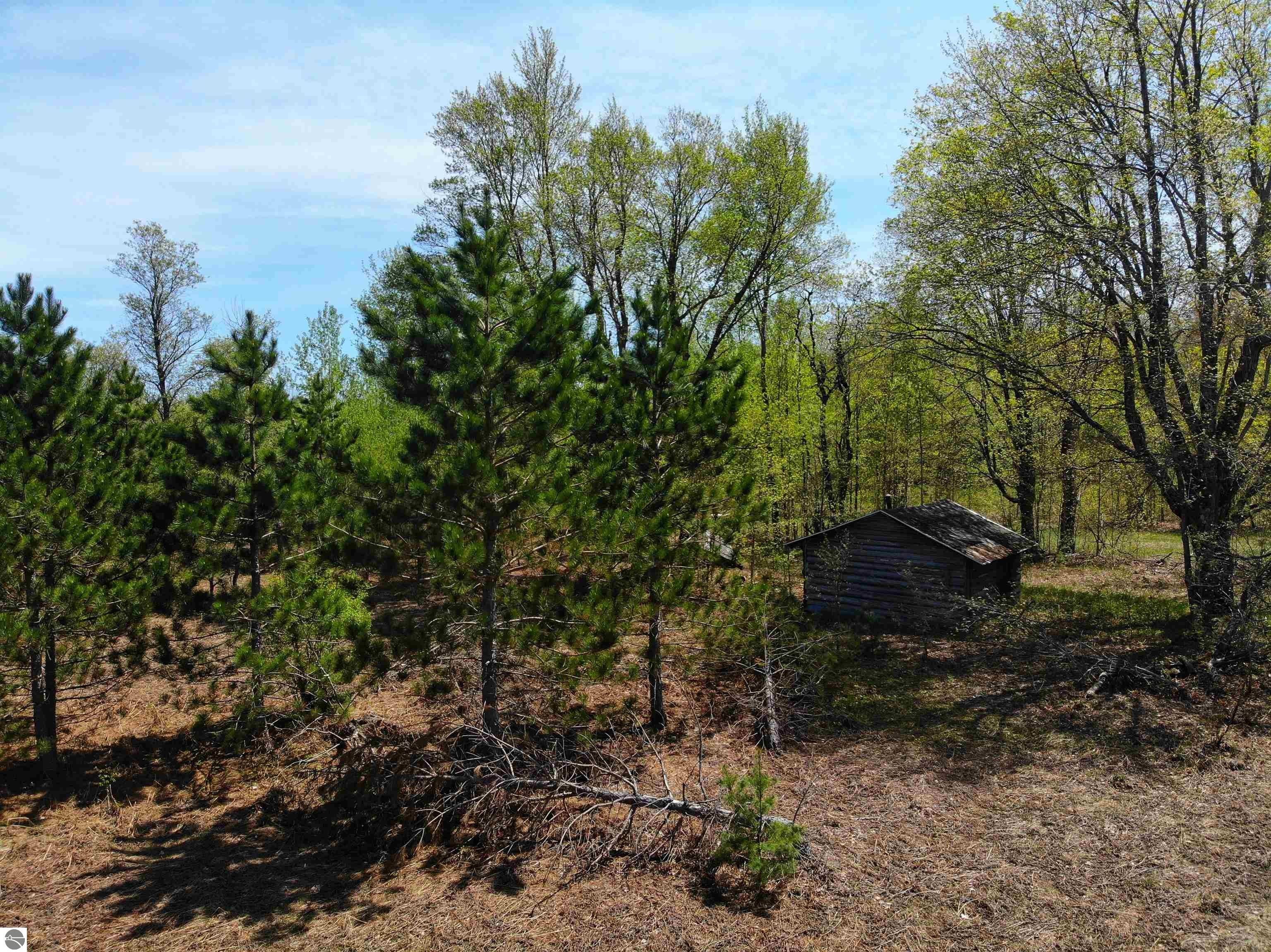 Kalkaska, Kalkaska County, MI Undeveloped Land, Lakefront Property