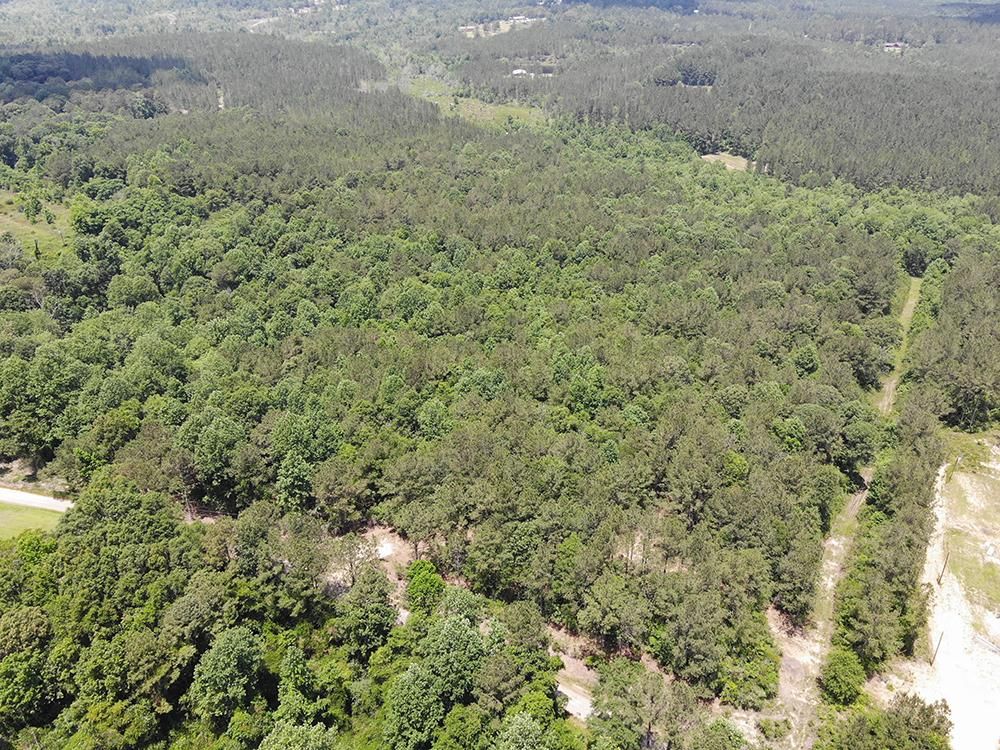 Ellisville, Jones County, MS Undeveloped Land, Hunting Property for