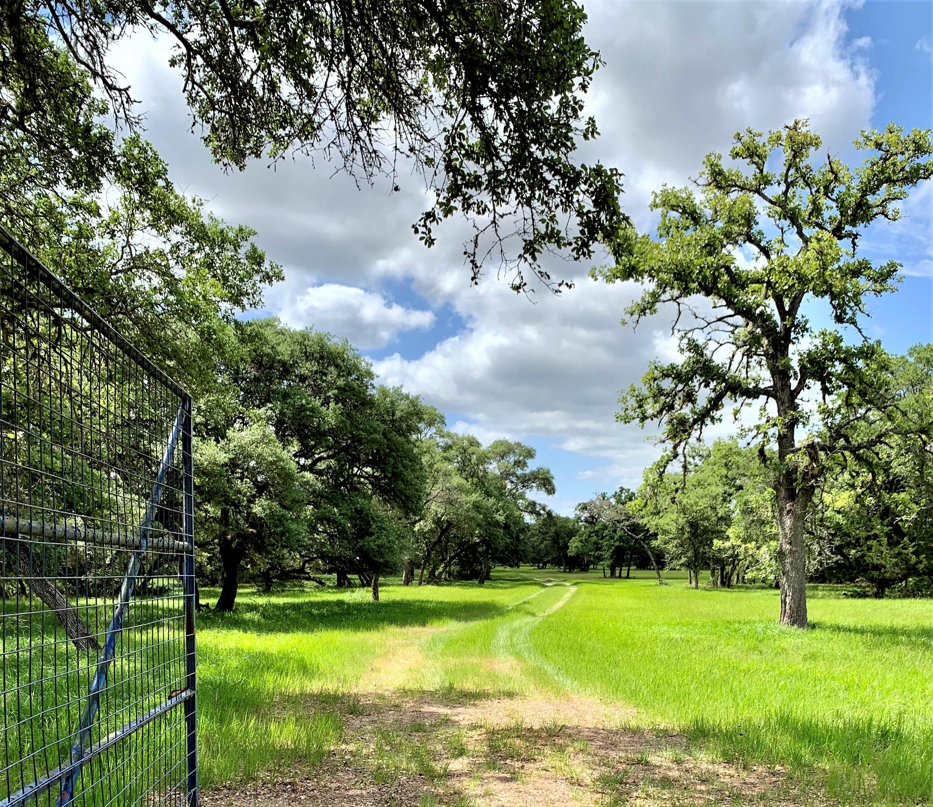 4151 County Road 158, Hallettsville, TX 77964 MLS McDONALD CR 158