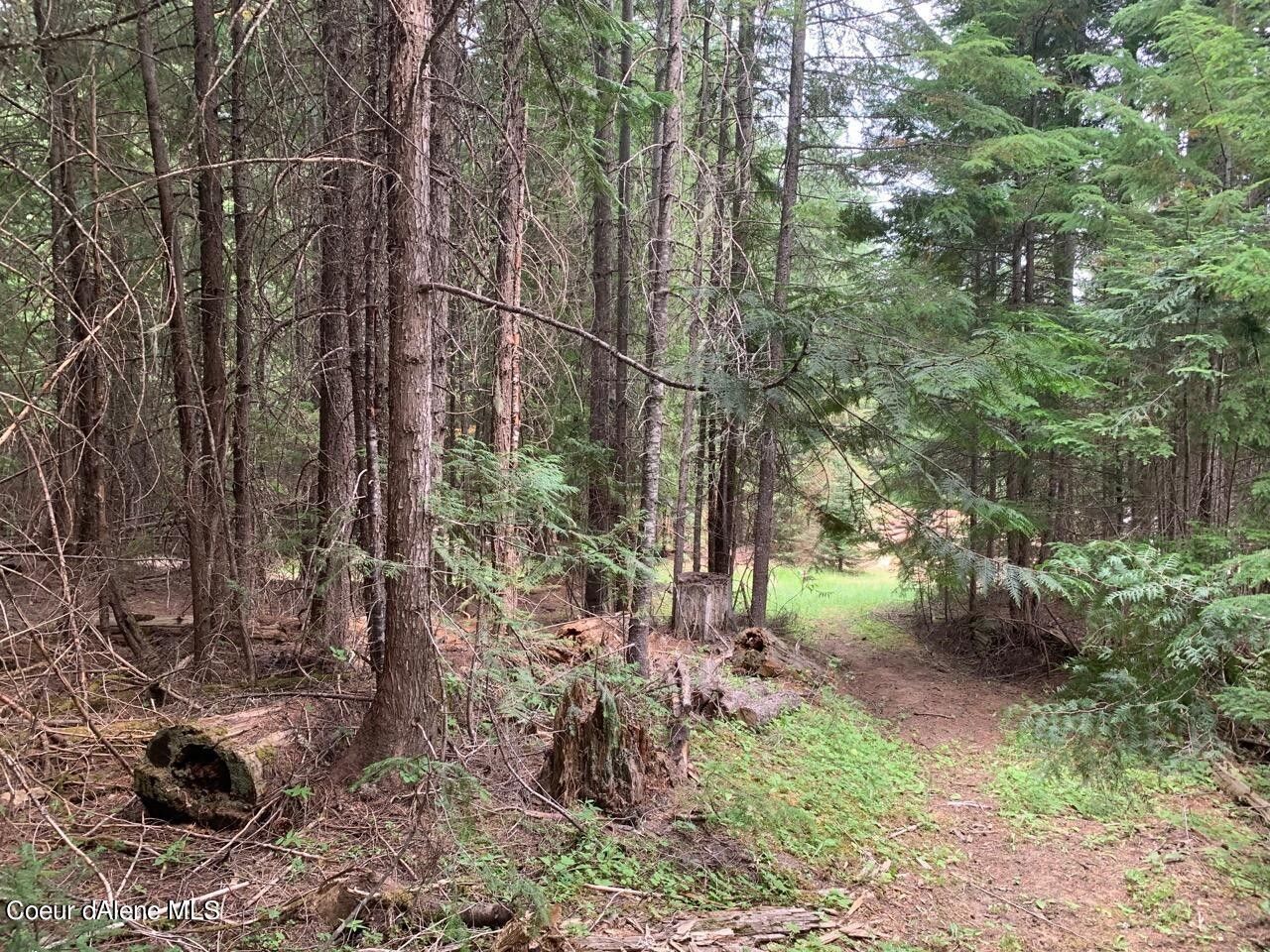 Saint Maries, Benewah County, ID Undeveloped Land, Homesites for sale
