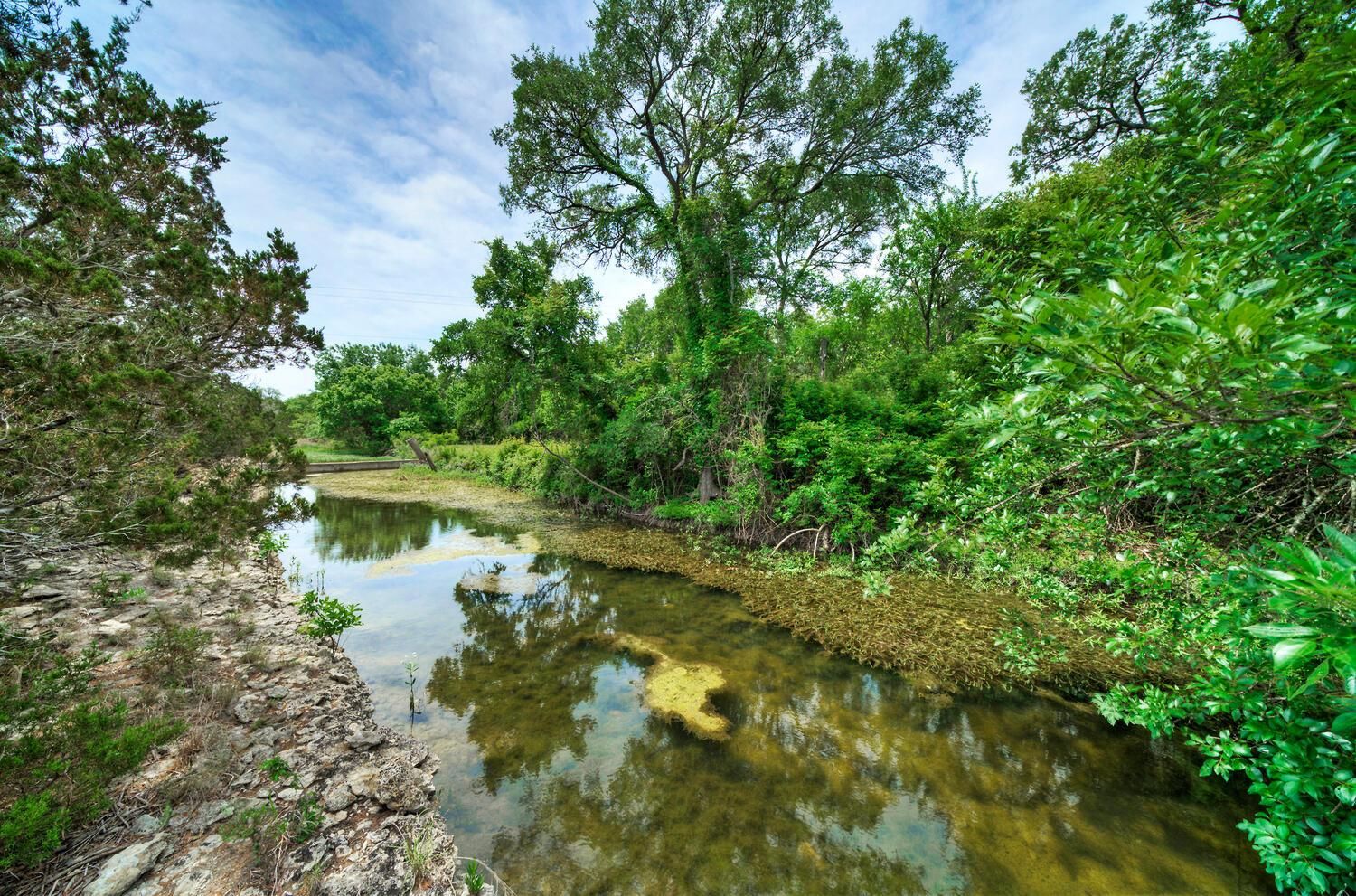 Florence, Williamson County, TX Farms and Ranches, Hunting Property