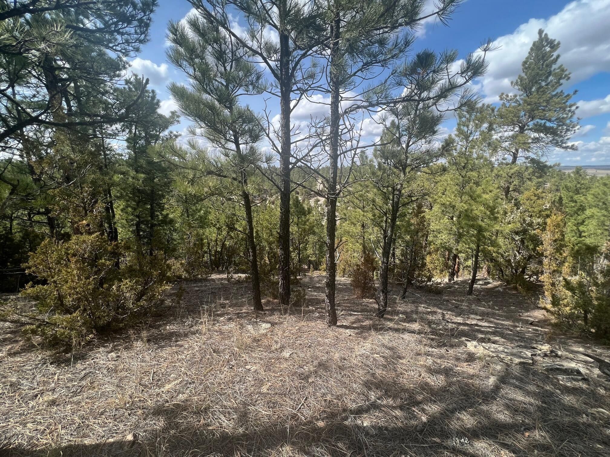 Roundup, Musselshell County, MT Undeveloped Land for sale Property ID