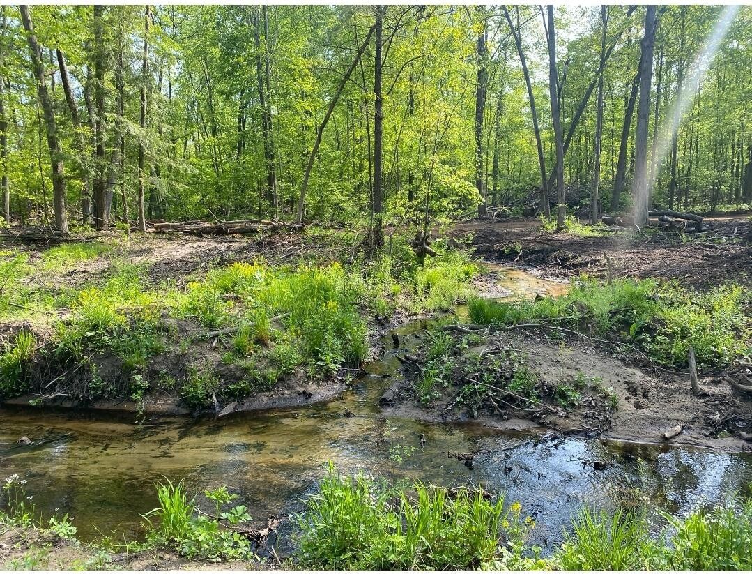 Ravenna, Muskegon County, MI Undeveloped Land, Lakefront Property