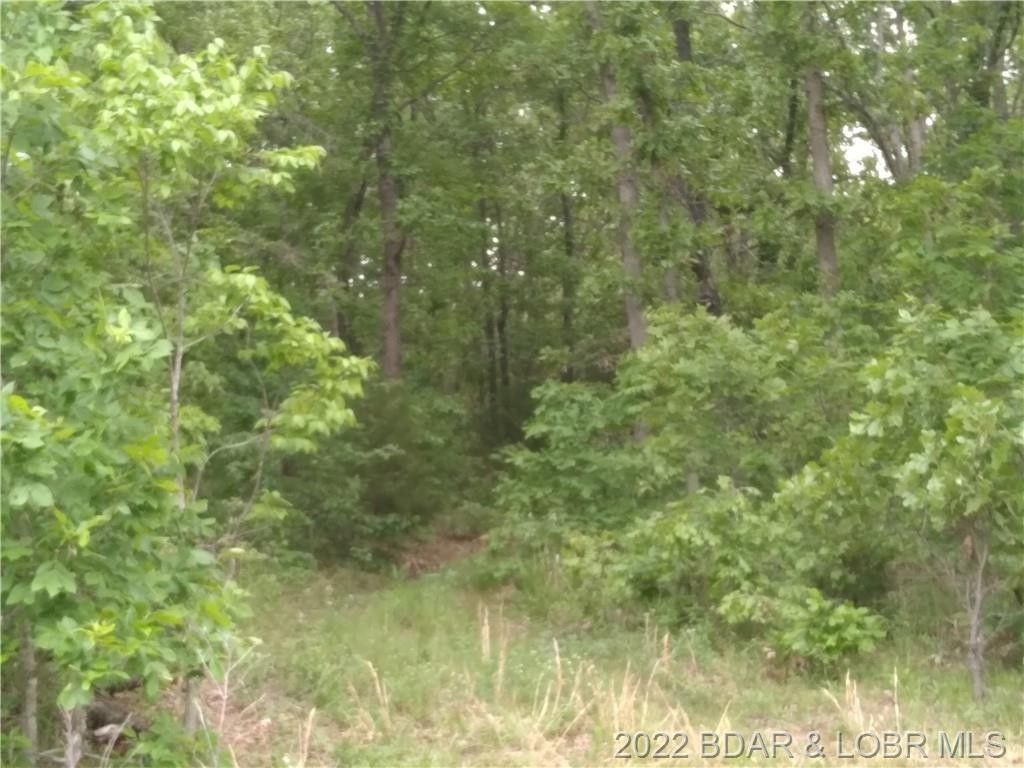 Stover, County, MO Undeveloped Land for sale Property ID 413654554 LandWatch