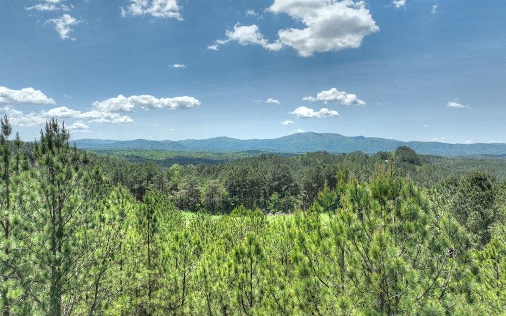 Copperhill, Polk County, TN Undeveloped Land for sale Property ID