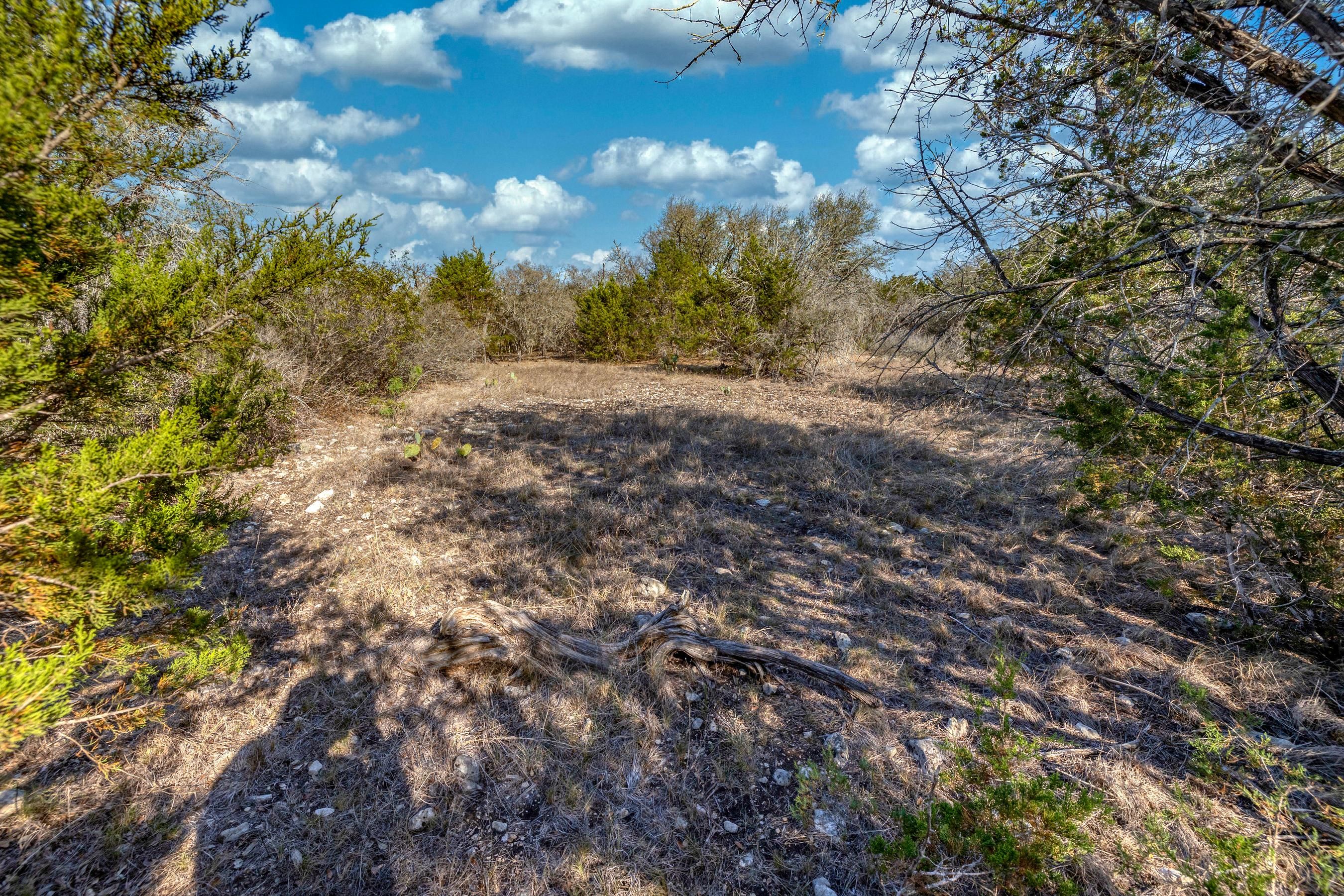 65.69 acres in Brackettville, TX, 78832 LandWatch