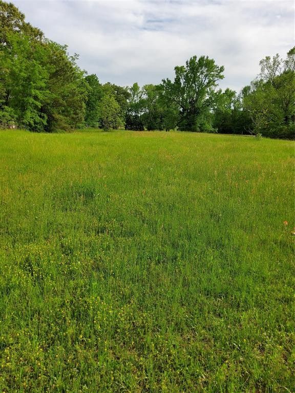 Mineola, Wood County, TX Undeveloped Land for sale Property ID