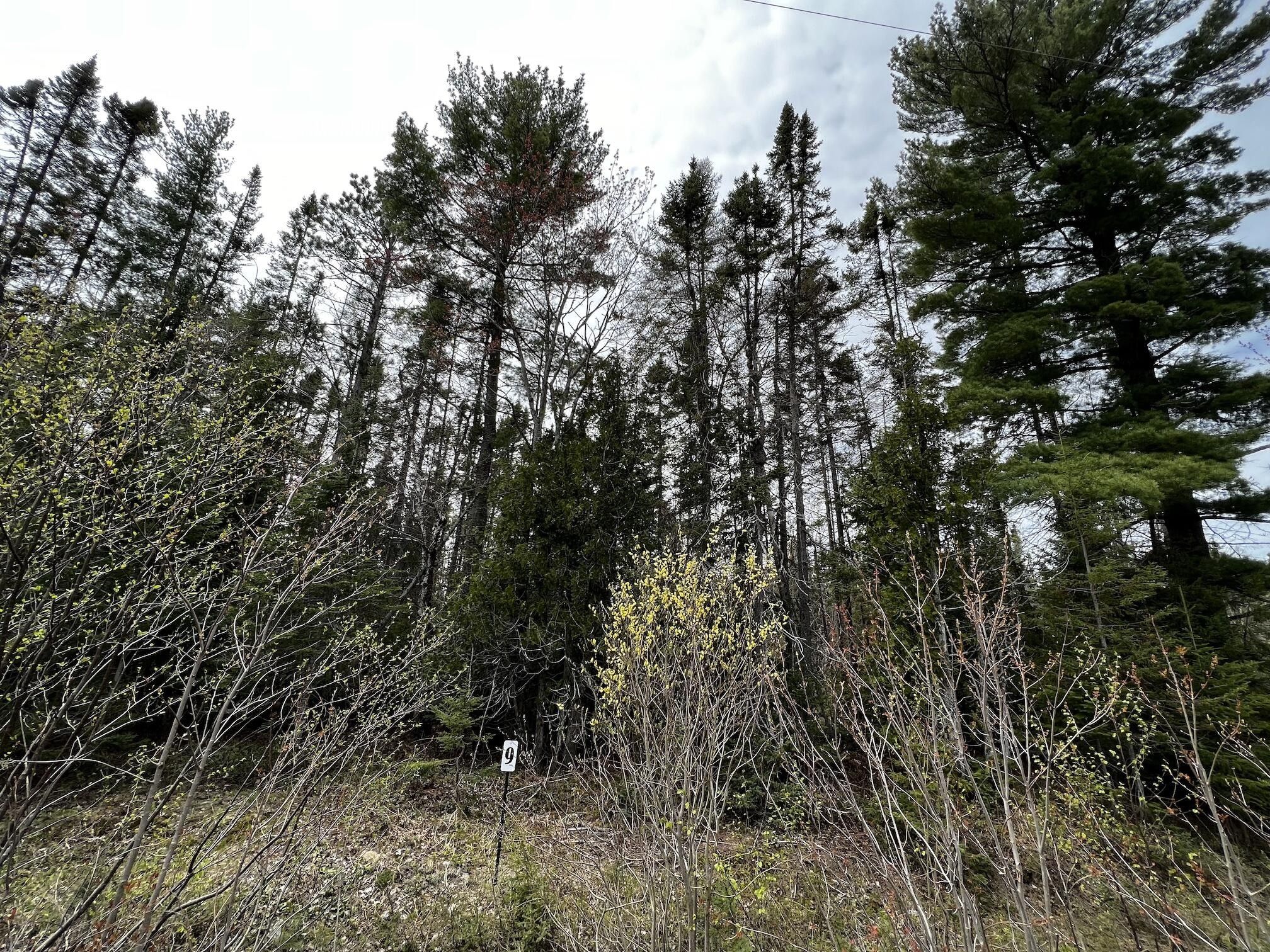 Paradise, Chippewa County, MI Undeveloped Land, Homesites for sale