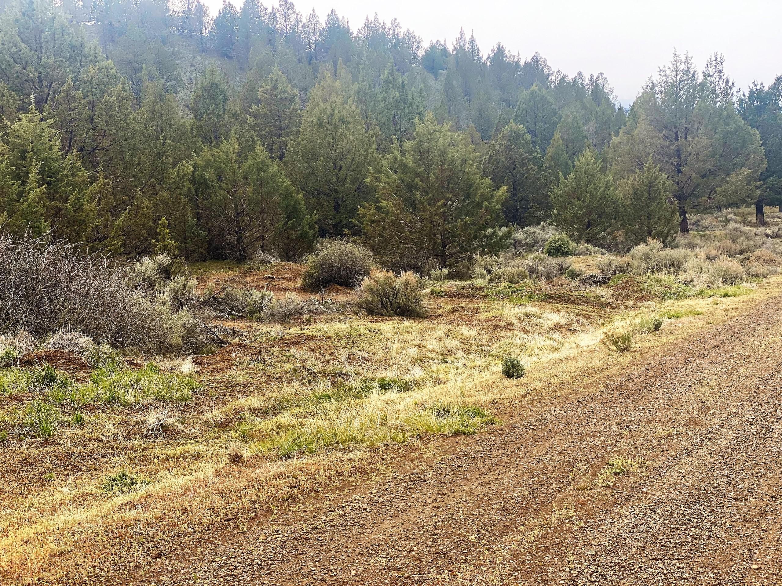 Alturas, Modoc County, CA Recreational Property, Hunting Property