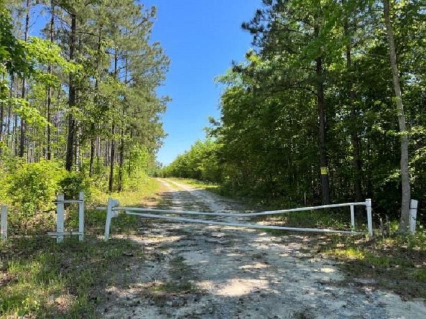 Suffolk, Suffolk City County, VA Recreational Property, Timberland