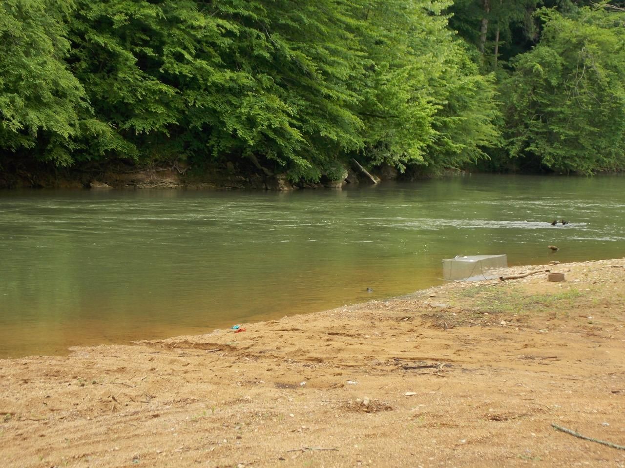 Preserve at Buffalo River, Linden, TN 37096 LandWatch