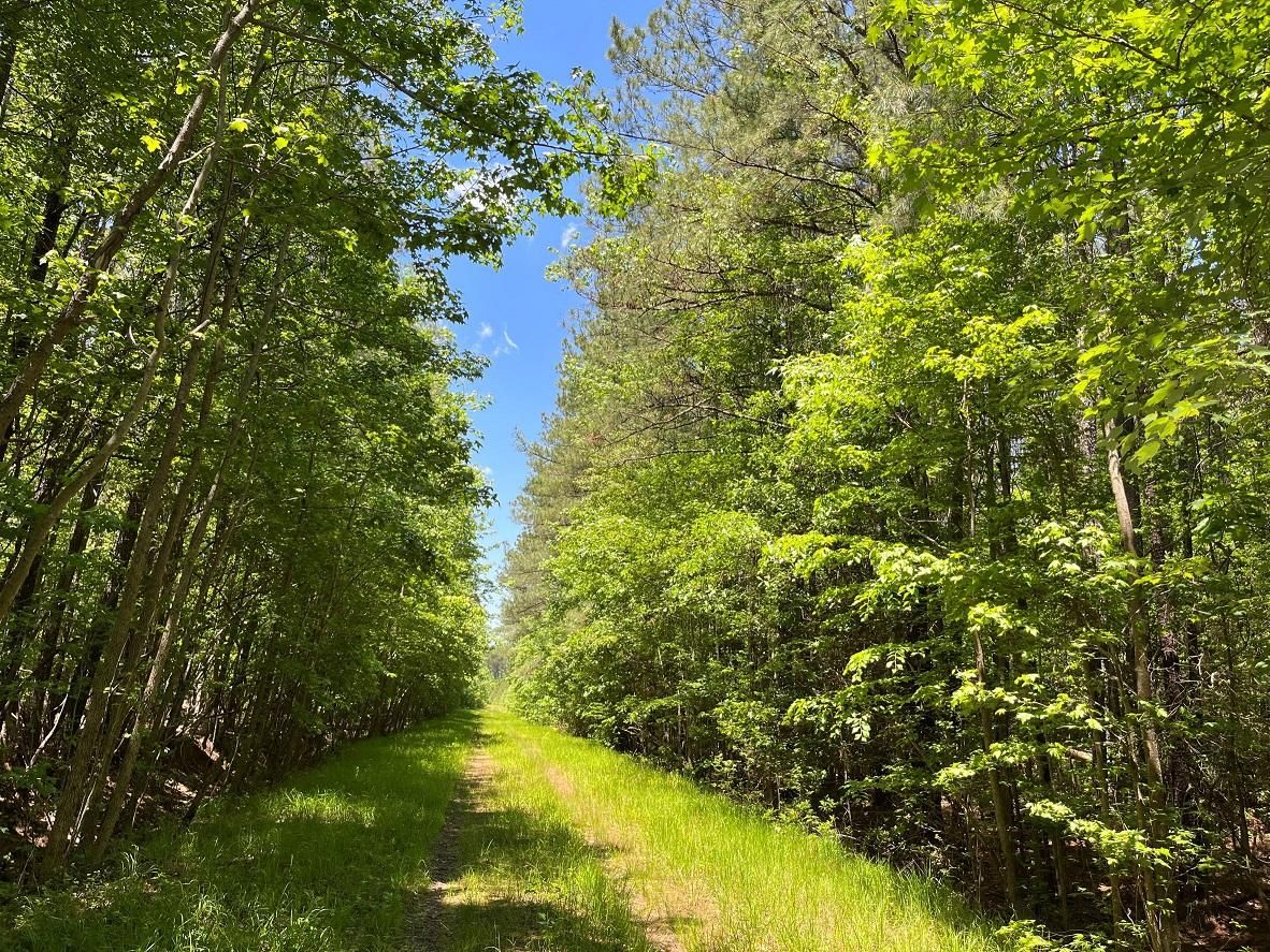 Suffolk, Suffolk City County, VA Recreational Property, Timberland