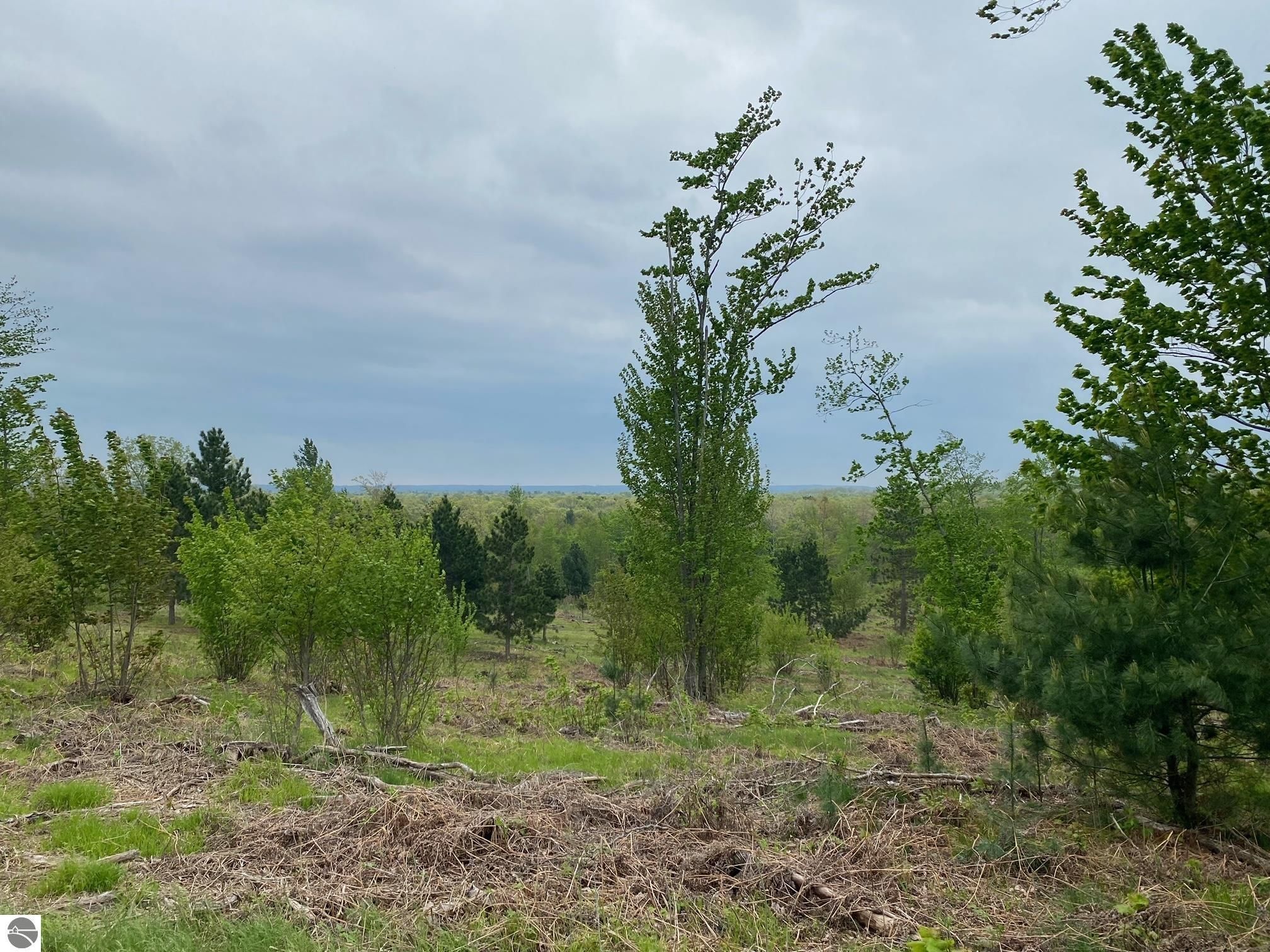 Luther, Lake County, MI Undeveloped Land for sale Property ID