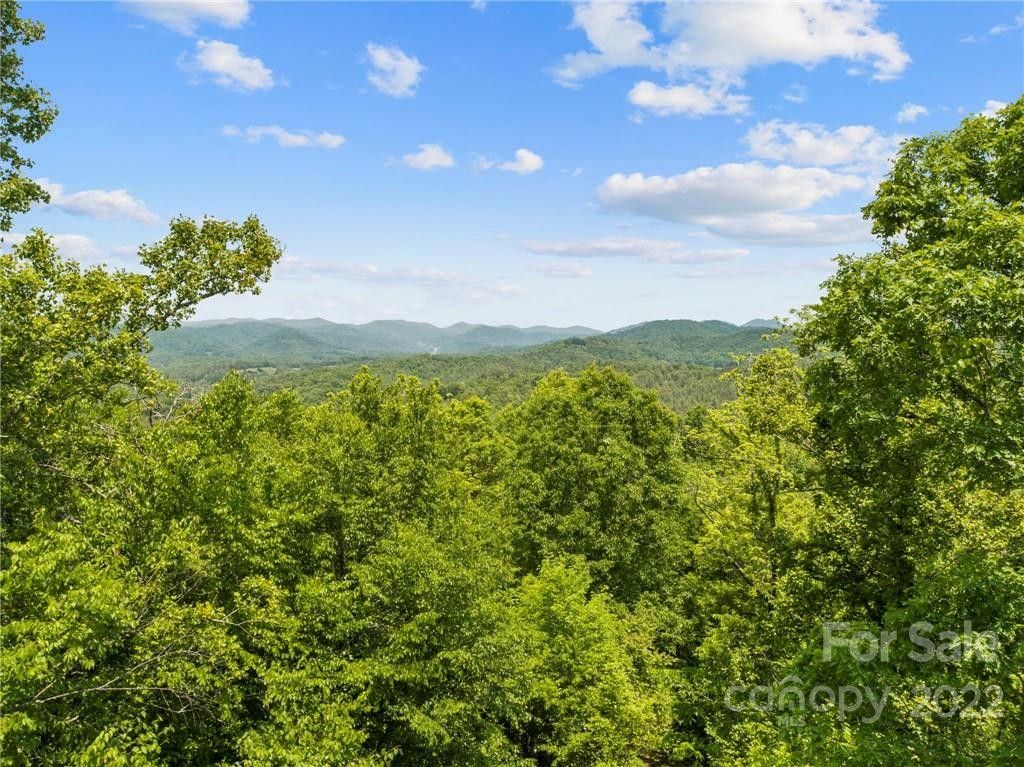 Mars Hill, Madison County, NC Farms and Ranches for sale Property ID