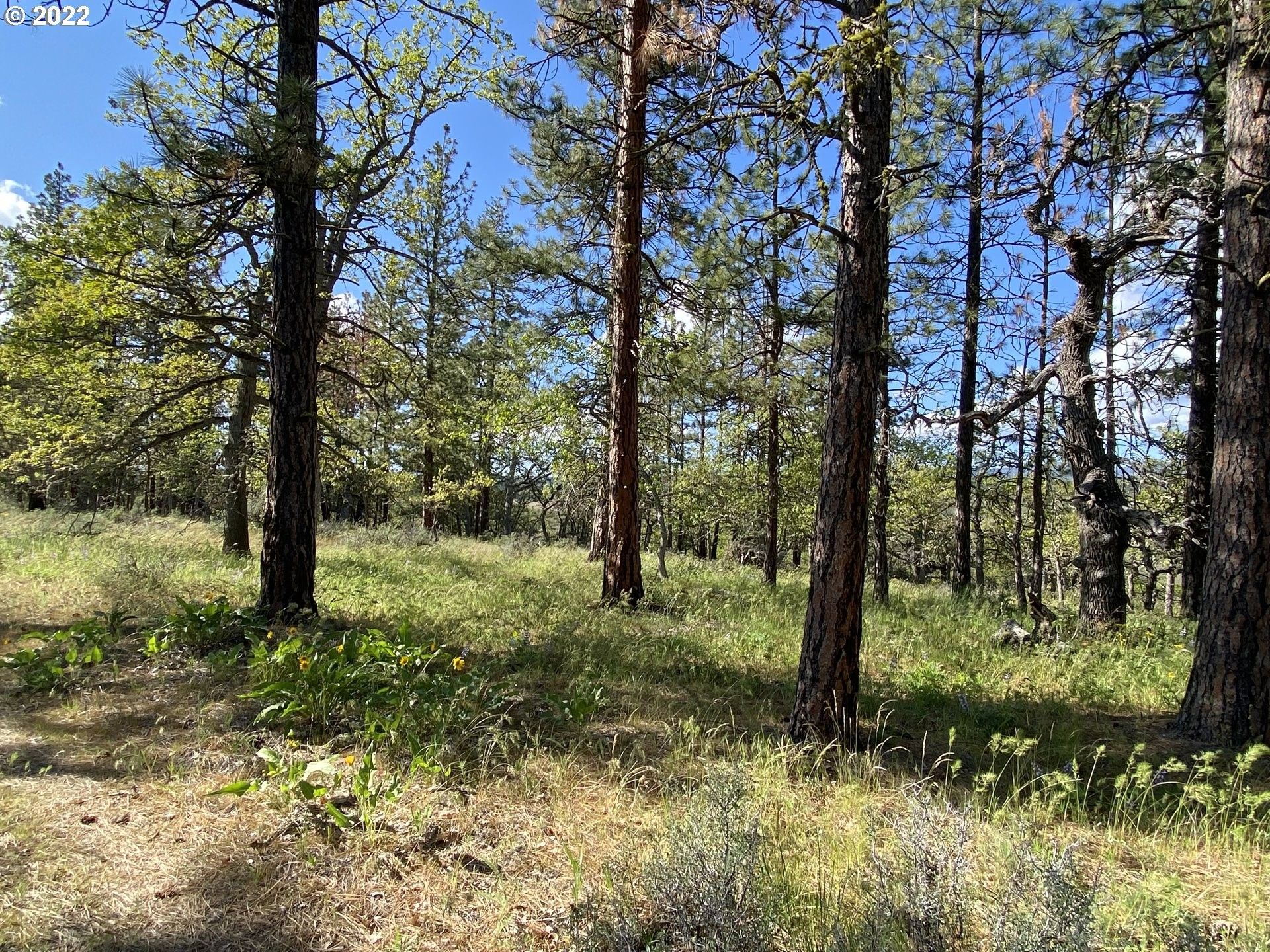 Goldendale, Klickitat County, WA Undeveloped Land for sale Property ID 412428823 LandWatch