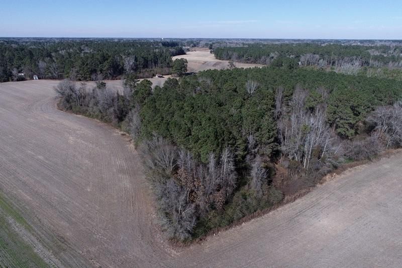 Fairmont, Robeson County, NC Farms and Ranches, Hunting Property for