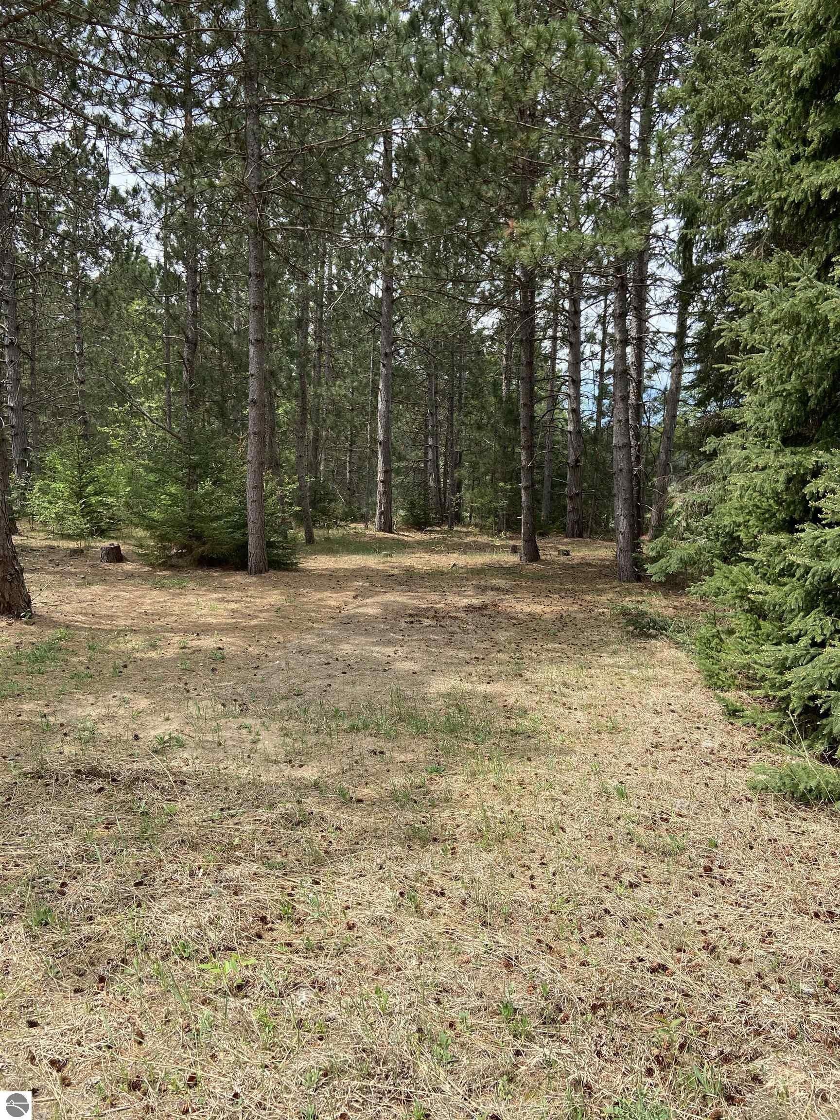 Kingsley, Grand Traverse County, MI Undeveloped Land, Homesites for