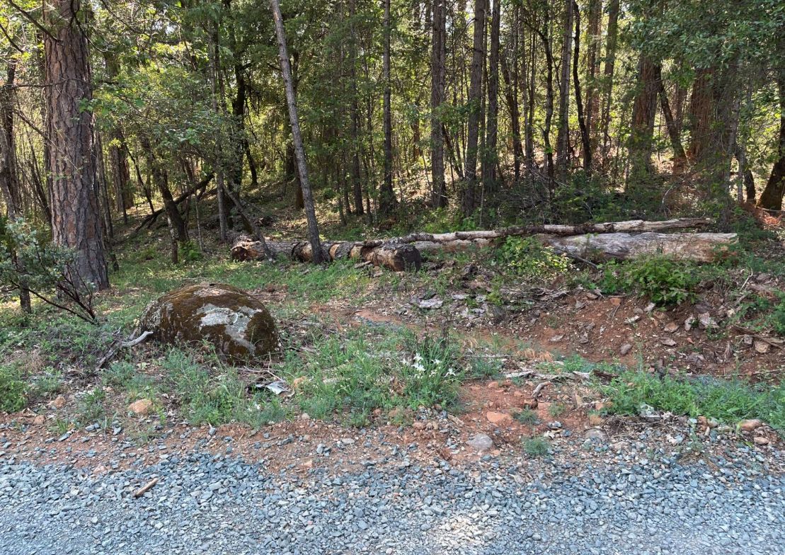 Dobbins, Yuba County, CA Farms and Ranches, Horse Property for sale Property ID 414187697