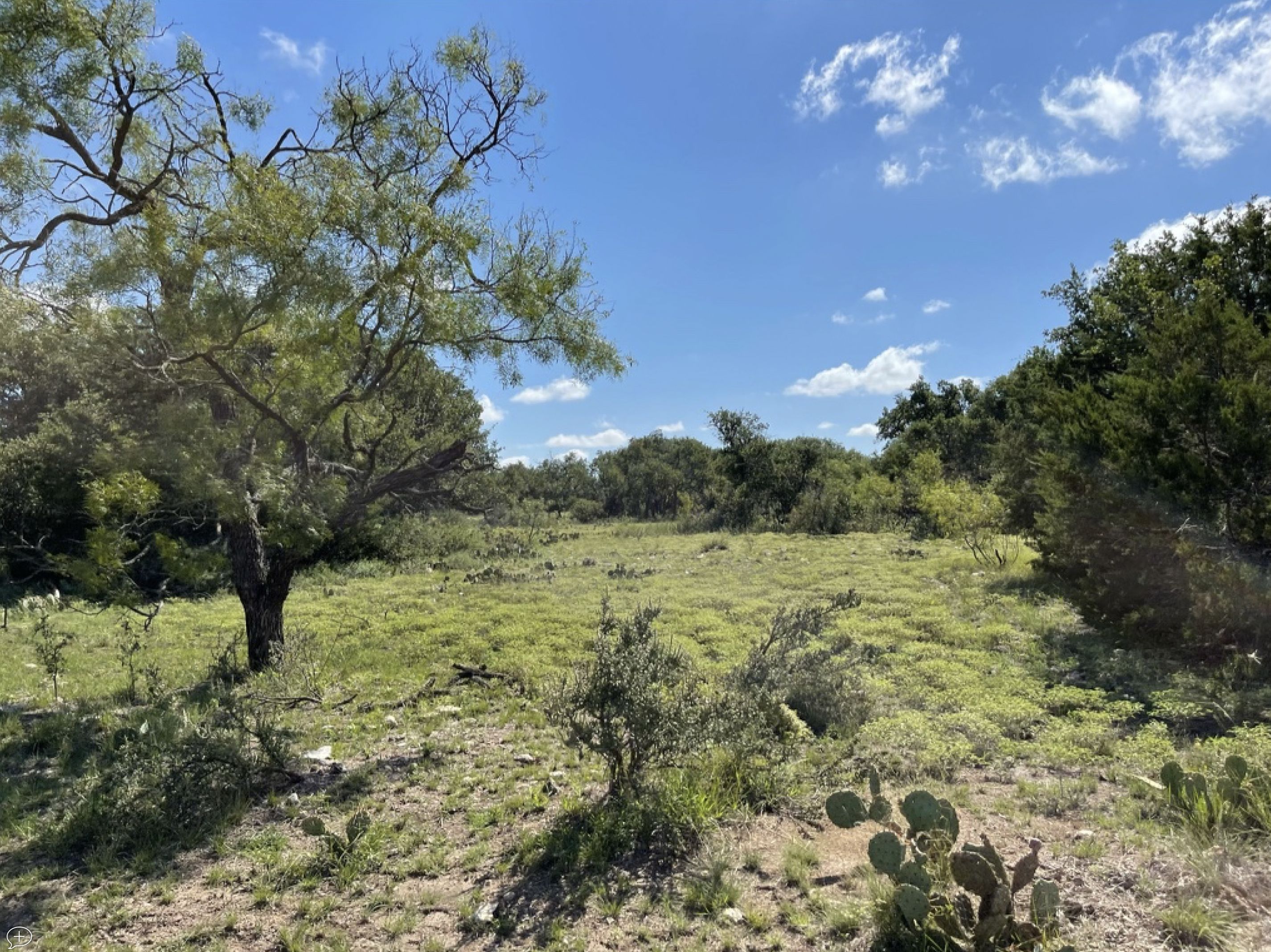 Eldorado, Schleicher County, TX Farms and Ranches, Recreational