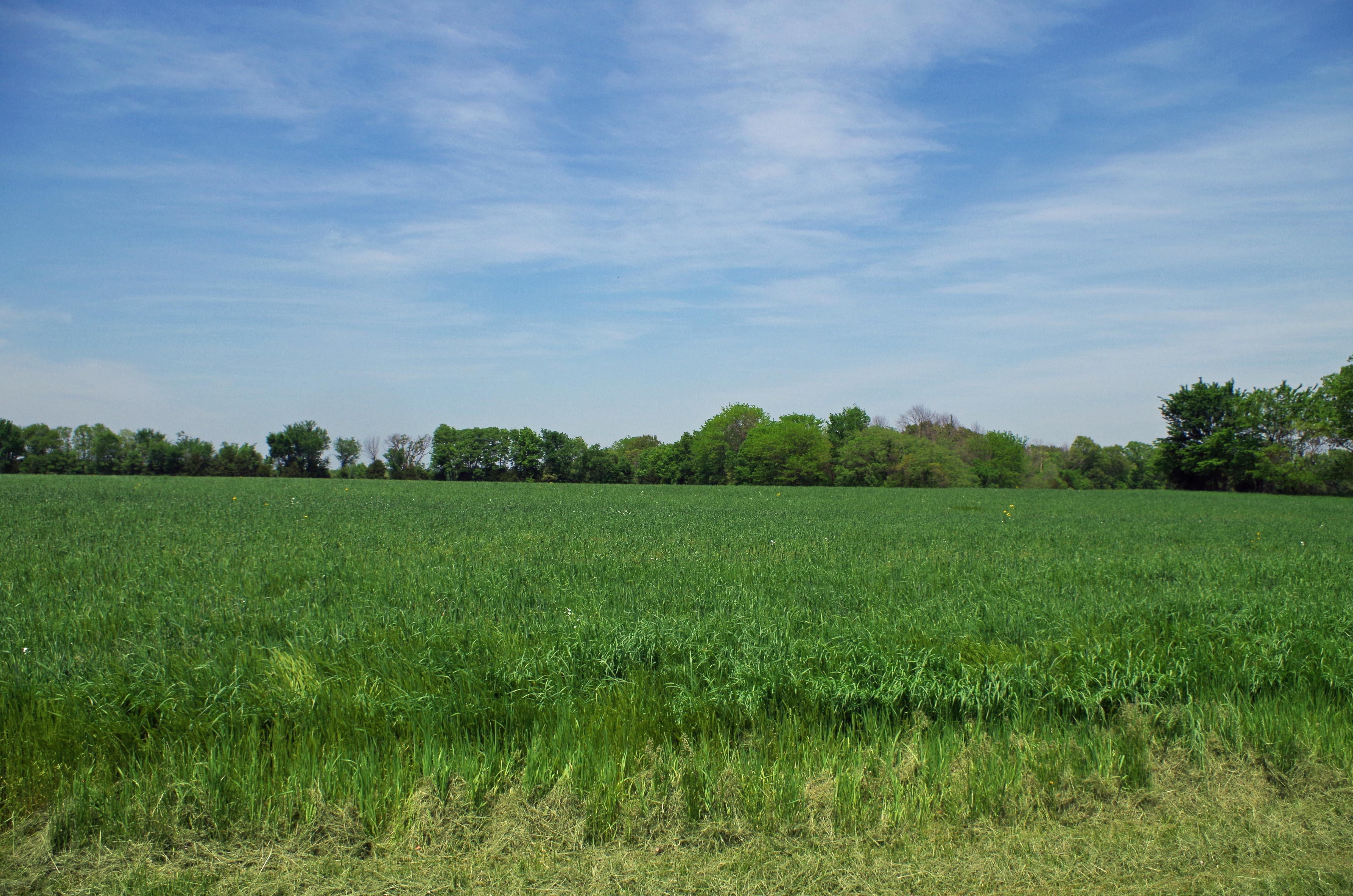 New Florence, Montgomery County, MO Recreational Property, Hunting Property, House for sale