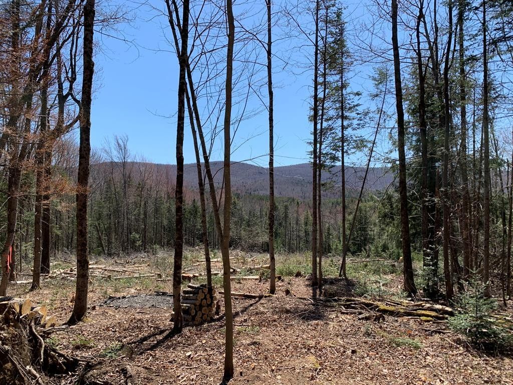 Stony Creek, Warren County, NY Undeveloped Land for sale Property ID