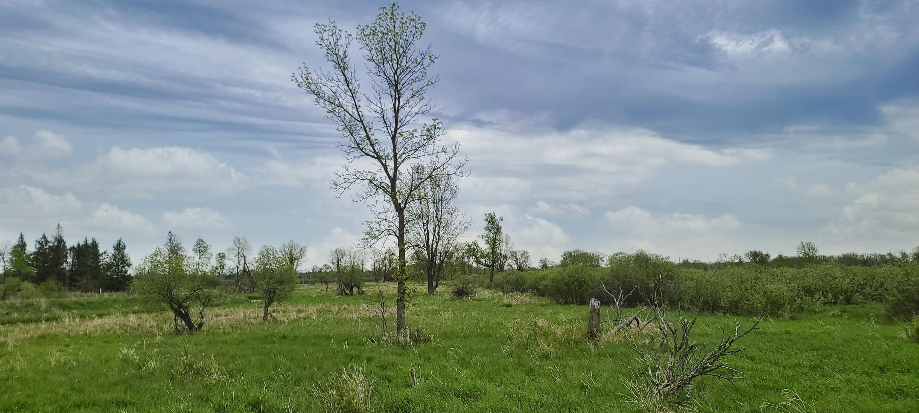 New London, Outagamie County, WI Undeveloped Land for sale Property ID