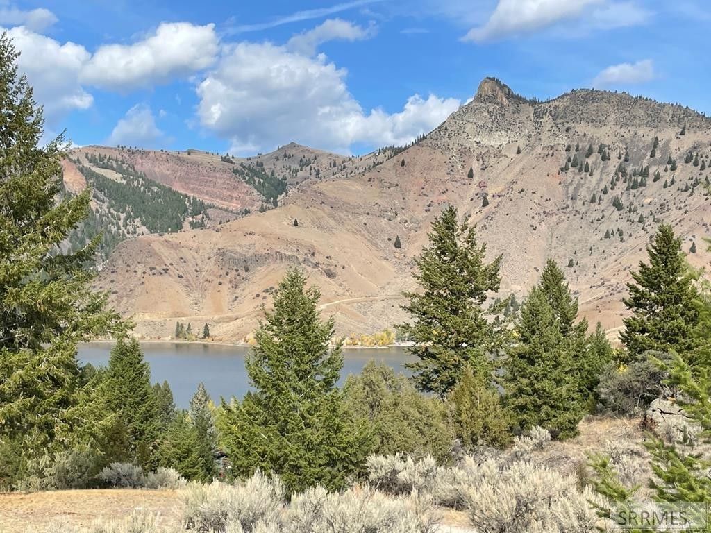 Salmon, Lemhi County, ID Undeveloped Land for sale Property ID