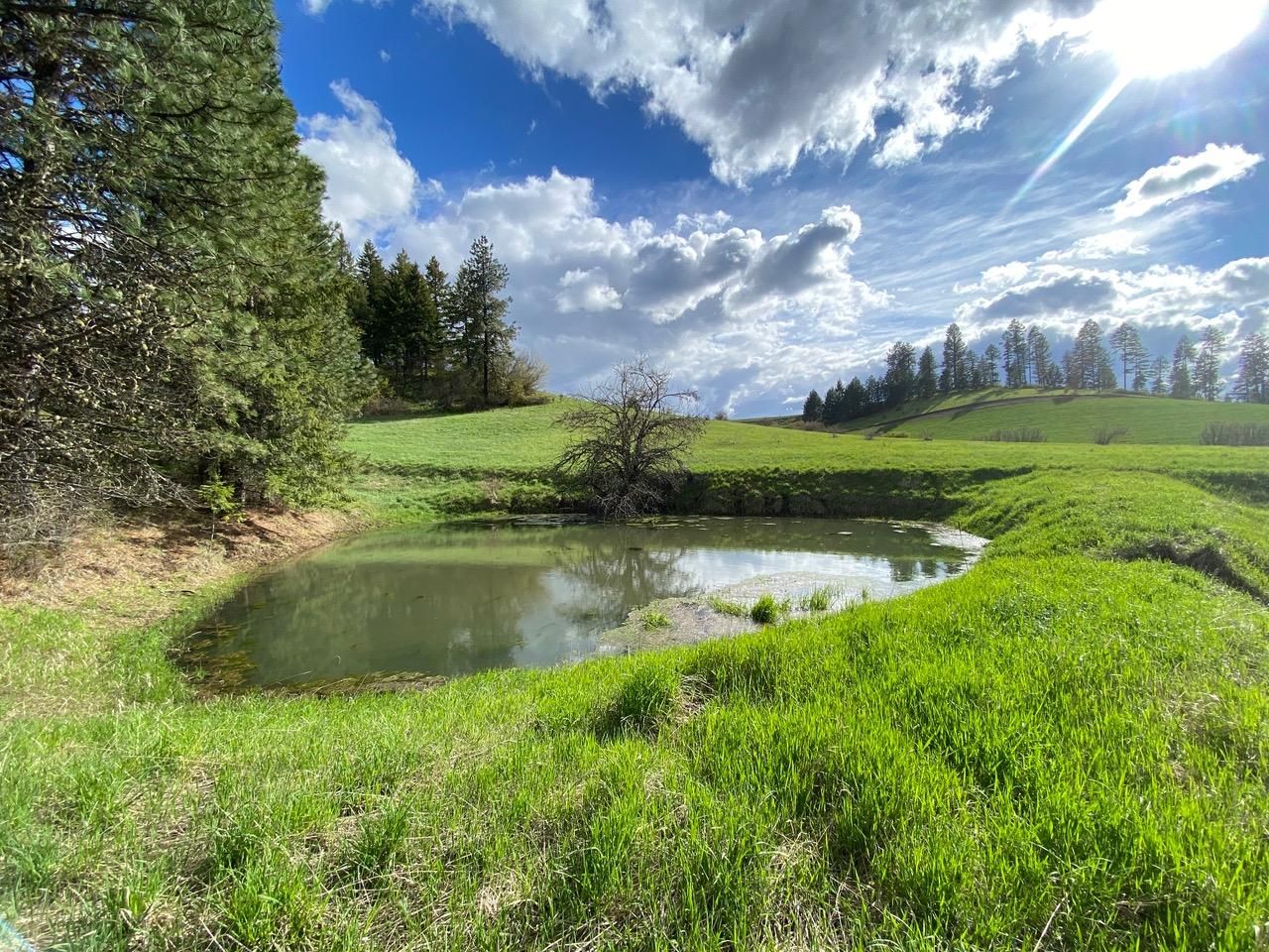 Orofino, Clearwater County, ID Farms and Ranches, Timberland Property