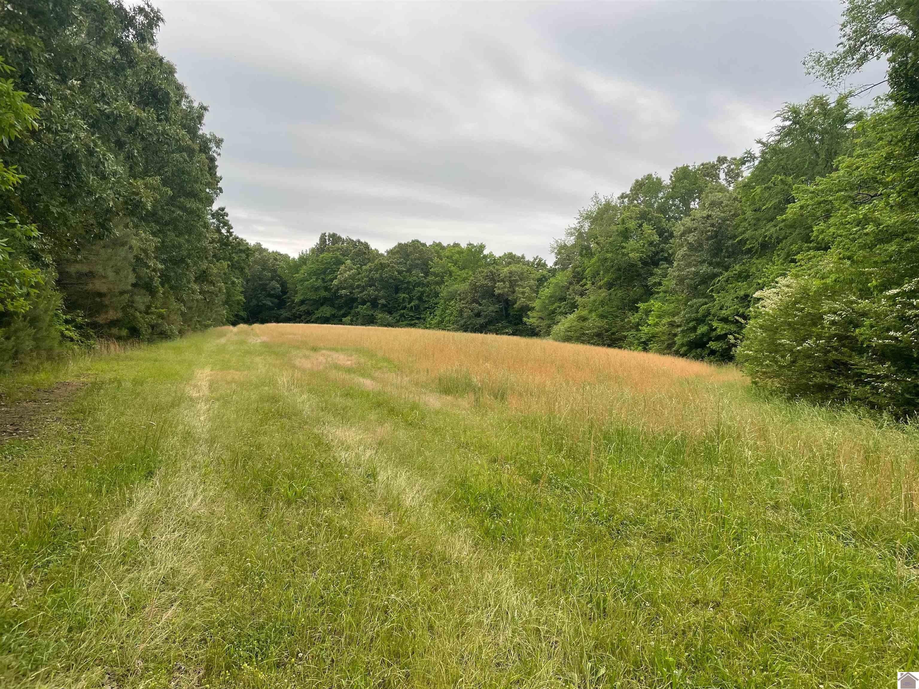 New Concord, Calloway County, KY Undeveloped Land for sale Property ID