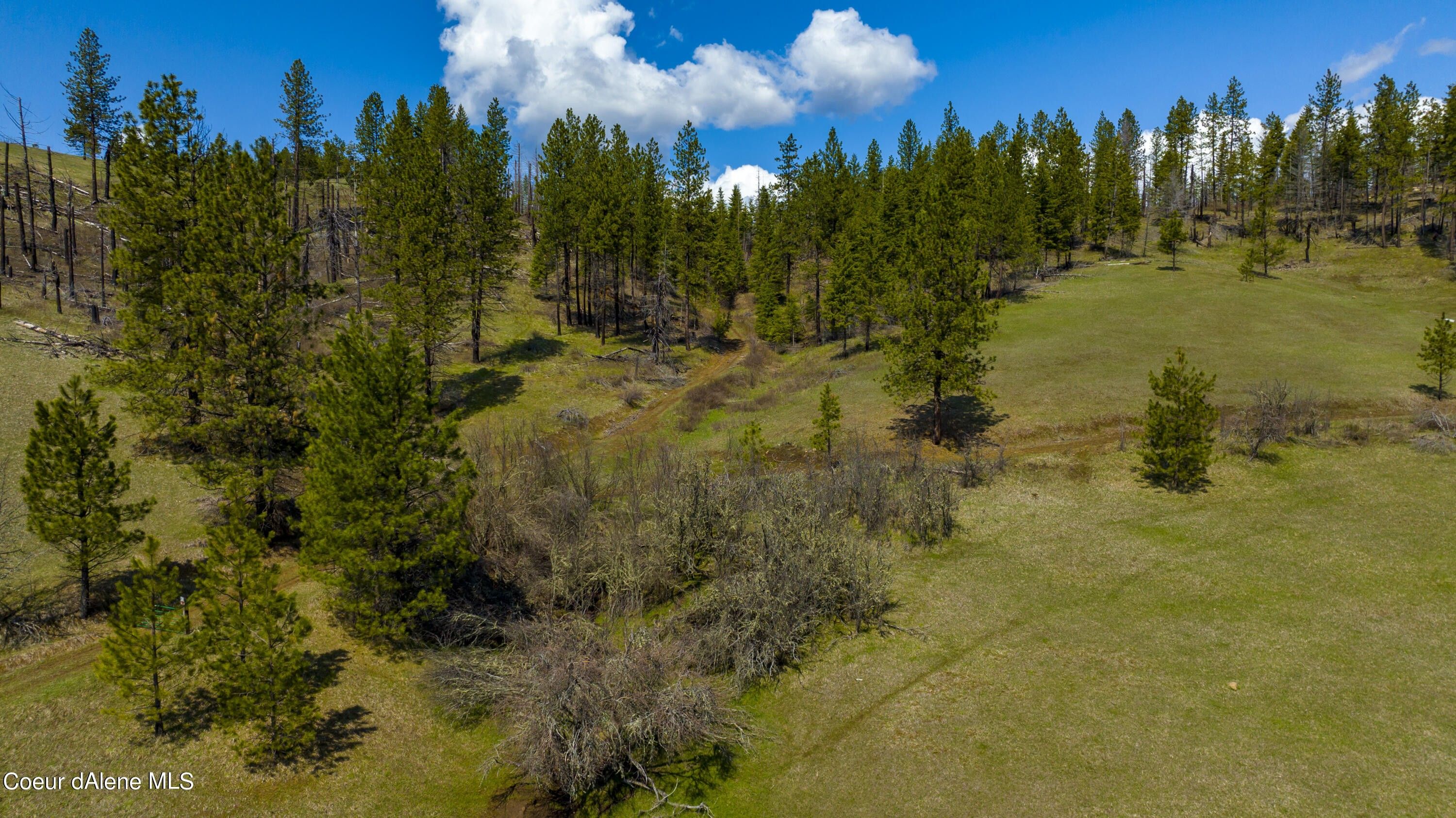 Nka 20acs Hidden Valley Ln, Lot 3, Weippe, ID 83553 MLS 224481