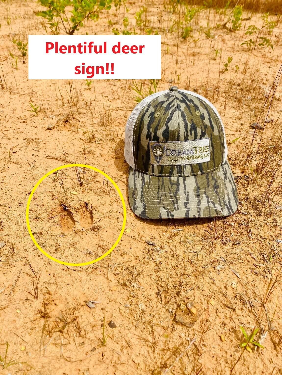 Fulton, Itawamba County, MS Recreational Property, Timberland Property