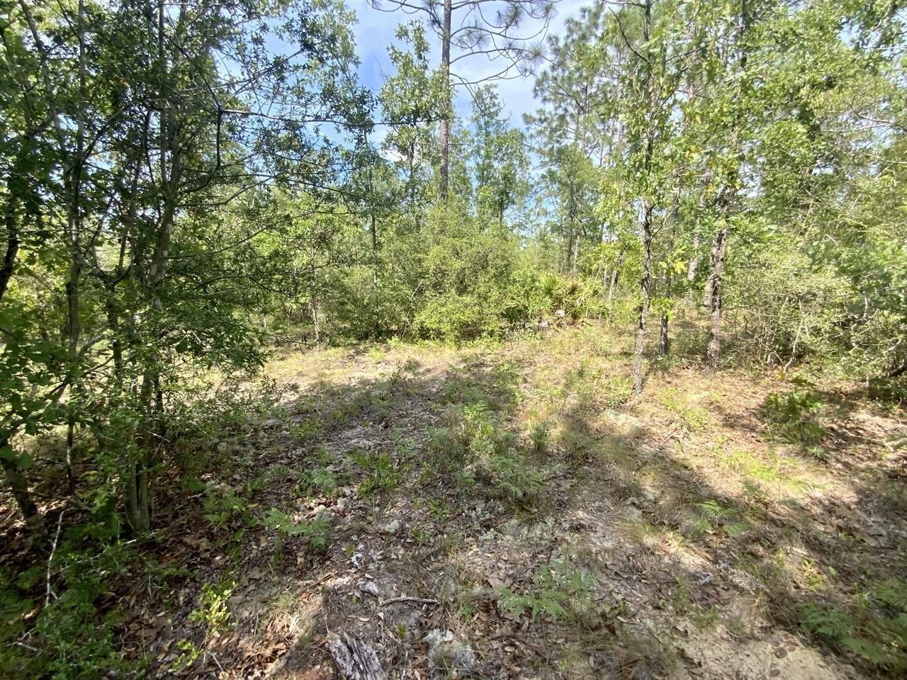 Marianna, Jackson County, FL Recreational Property, Hunting Property, House for sale Property ID