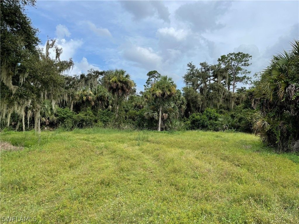 Labelle, Hendry County, FL Undeveloped Land for sale Property ID