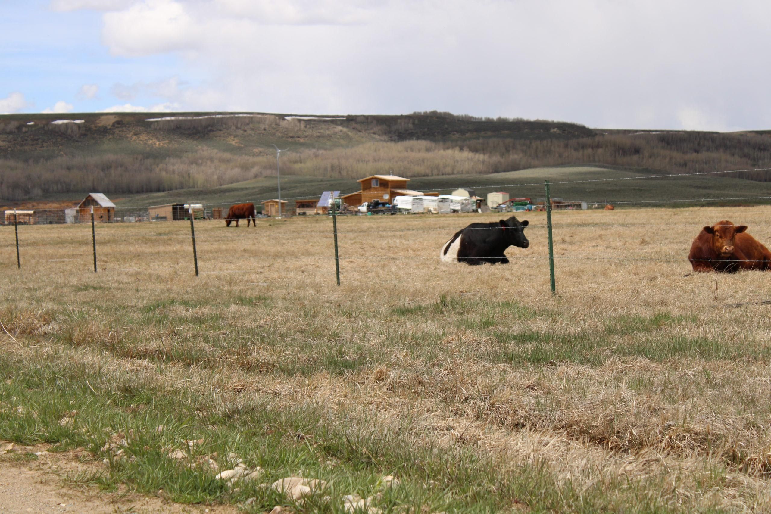 Daniel, Sublette County, WY Recreational Property, Horse Property
