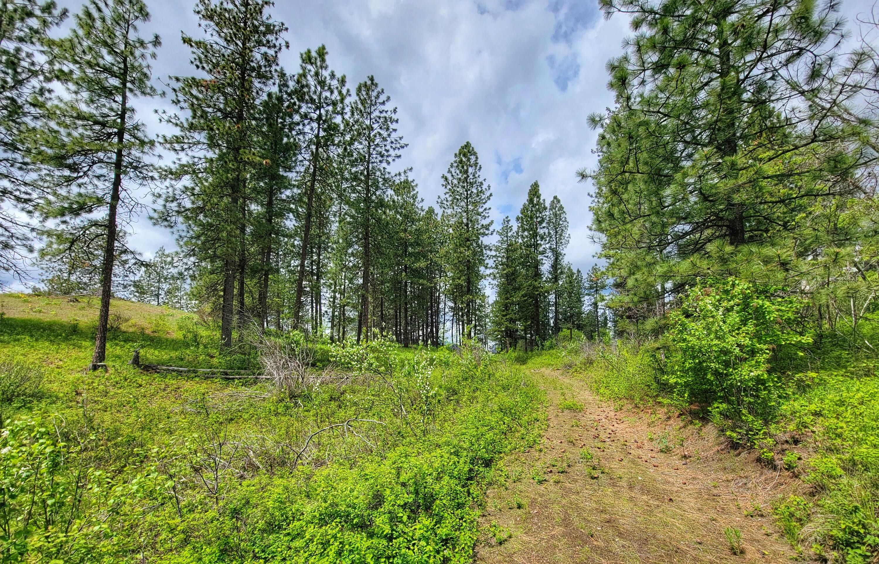 Chewelah, Stevens County, WA Undeveloped Land for sale Property ID